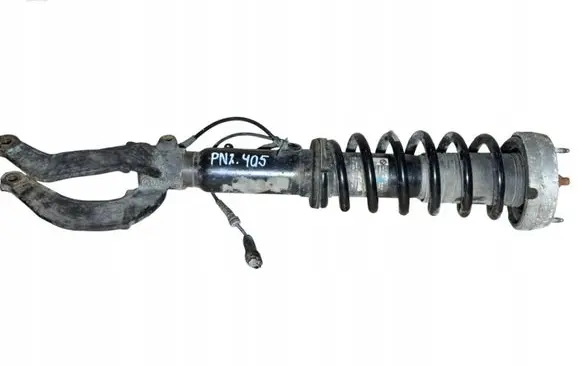 BMW X6 E71 Front shock absorber with coil spring 6794536
