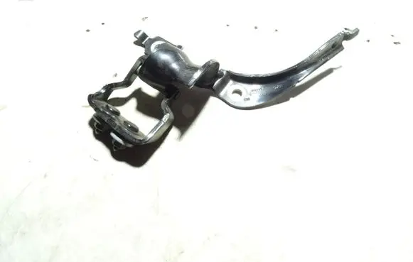 Audi A4 S4 B7 8E 8H Tailgate/trunk/boot hinge