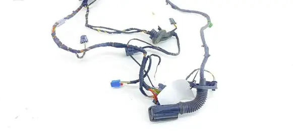 Front door wiring loom