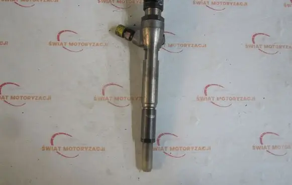 Nissan Bluebird Sylphy II Fuel injector H8200294788
