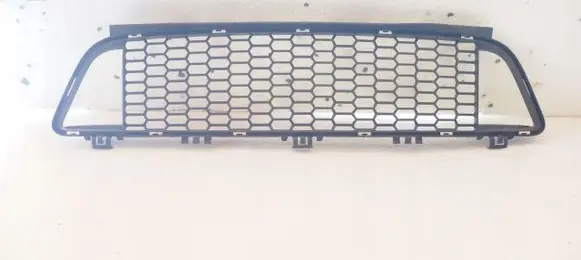 BMW 1 F20 F21 Front bumper lower grill 8048969MeriiCar