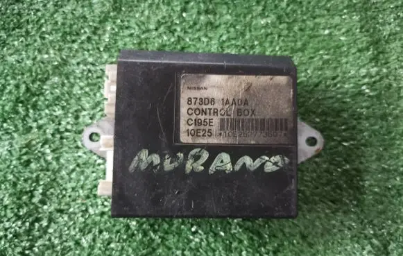 Nissan Murano Z51 Other control units/modules 873D6-1AA0A