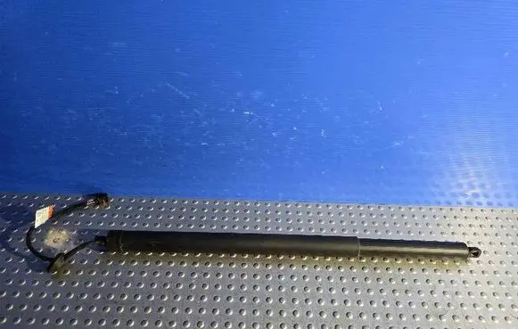 Tailgate strut