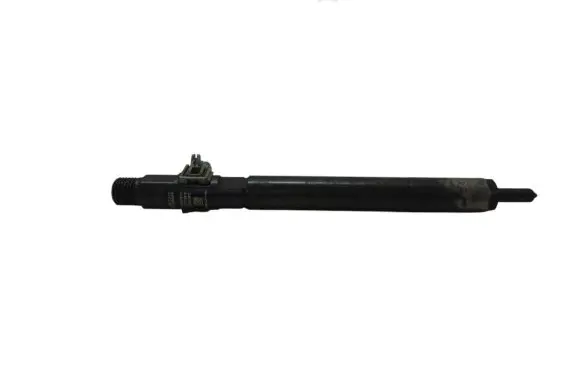 SsangYong Rexton I Fuel injector A6650170121 48B17395 B1850B09