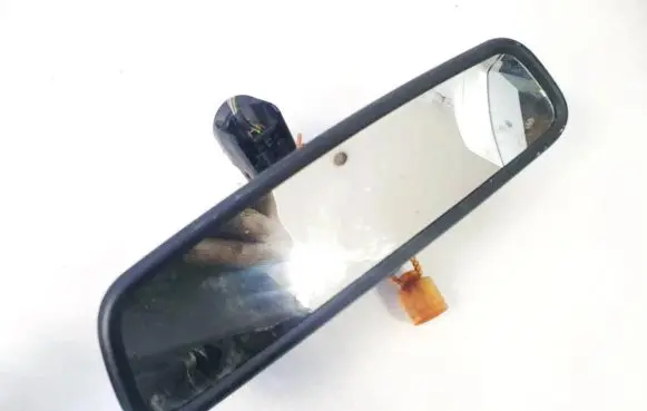 BMW 5 GT F07 Rear view mirror (interior) e11015891
