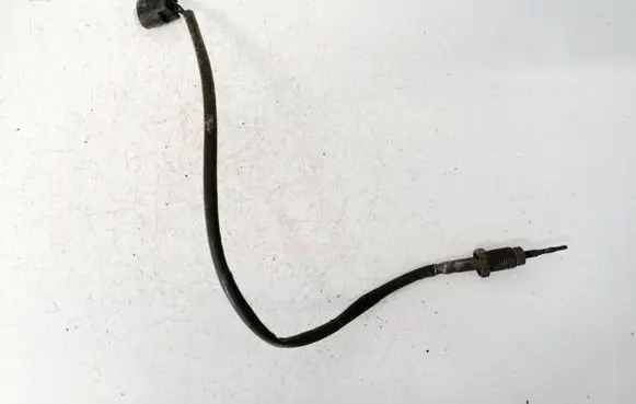 Exhaust gas temperature sensor