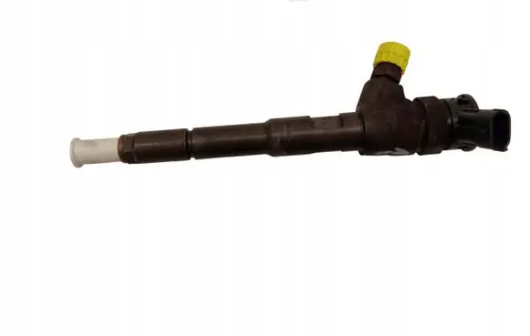Dacia Dokker Fuel injector 0445110485