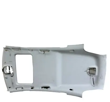 Mercedes-Benz R W251 Headlining 
