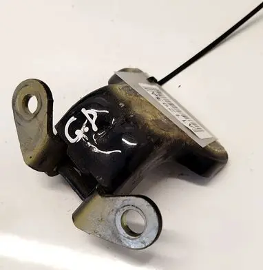 Opel Antara Rear door lower hinge