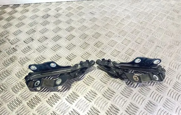 Volkswagen New Beetle Engine bonnet/hood hinges 1C0823302D 1C0823301D