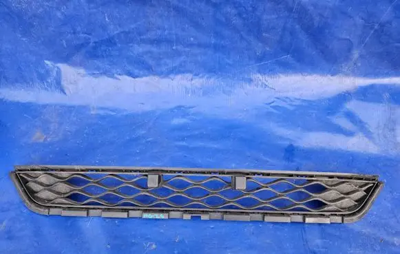 MG ZS Front bumper lower grill 10361127
