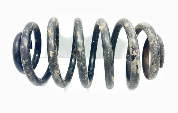 Rear coil spring