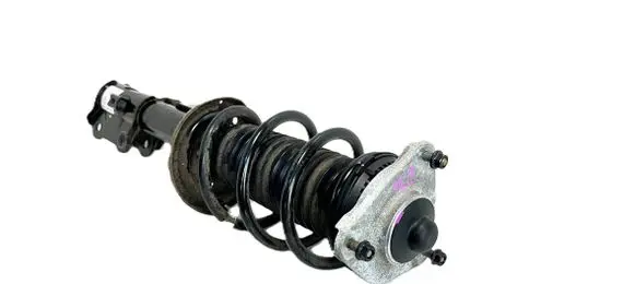 Hyundai Ioniq 5 Front shock absorber/damper 54651GI150 50565
