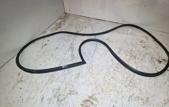 Mitsubishi Pajero Pinin Rubber seal front door (on door) 