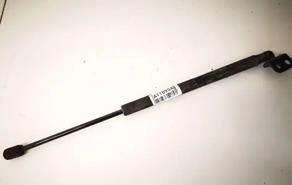 Hyundai Santa Fe Front bonnet/hood damper/strut 8116126001