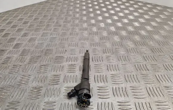 Nissan Qashqai+2 Fuel injector 8200055367