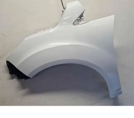 Fender
