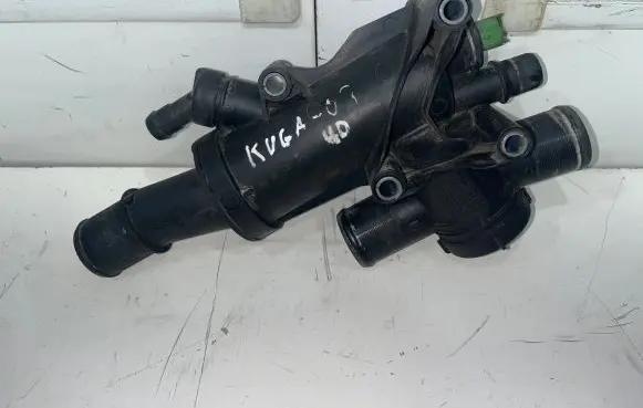 Thermostat/thermostat housing