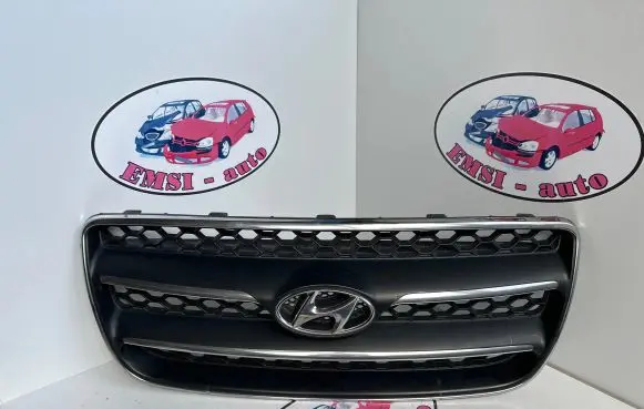 Hyundai Santa Fe Front bumper upper radiator grill E865612B020