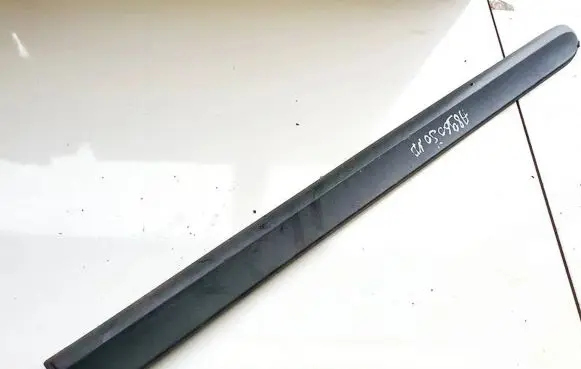Rear door trim (molding)