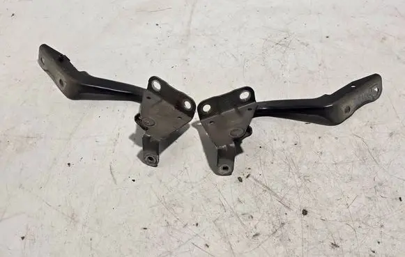 Toyota C-HR I Engine bonnet/hood hinges