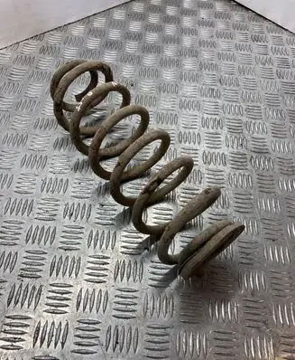 Volkswagen PASSAT B6 Rear coil spring