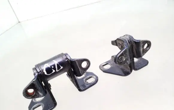 Tesla Model S Front door hinge set 6009569 I120038