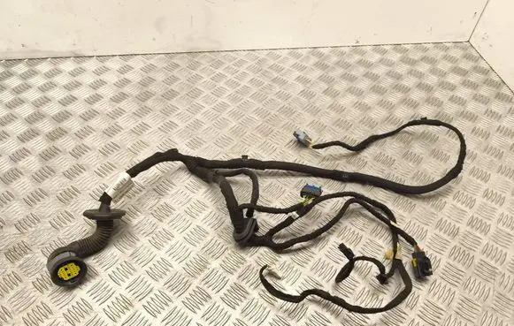 Citroen C5 Front door wiring loom 9672952680