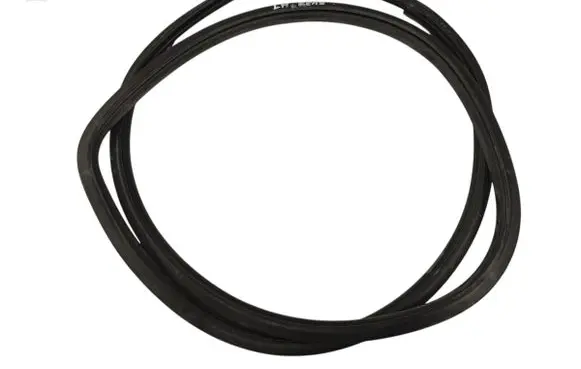 Toyota Camry VIII XV70 Rear door rubber seal (on body) 
