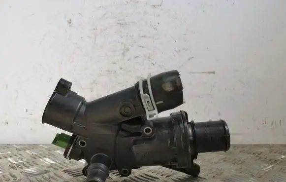 Thermostat/thermostat housing