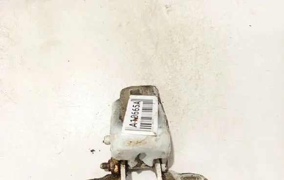 Renault Laguna III Rear door lower hinge