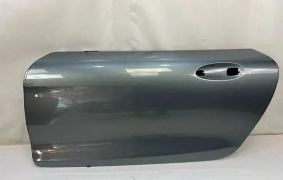 Mercedes-Benz AMG GT R190 C190 Front door