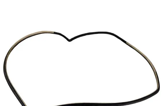 Lexus RX 300 Front door rubber seal 