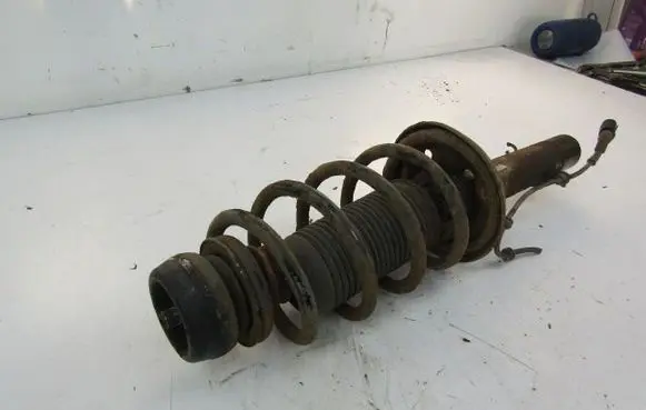 Seat Leon (1M) Front shock absorber/damper 
