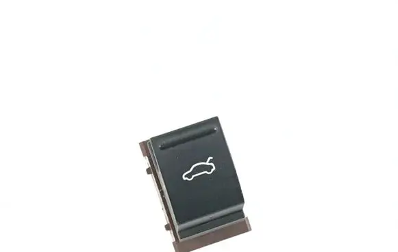 Volkswagen PASSAT B7 Tailgate opening switch 3AA959831