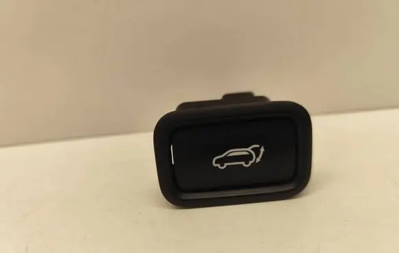 Hyundai Santa Fe Tailgate/boot open switch button 299185059