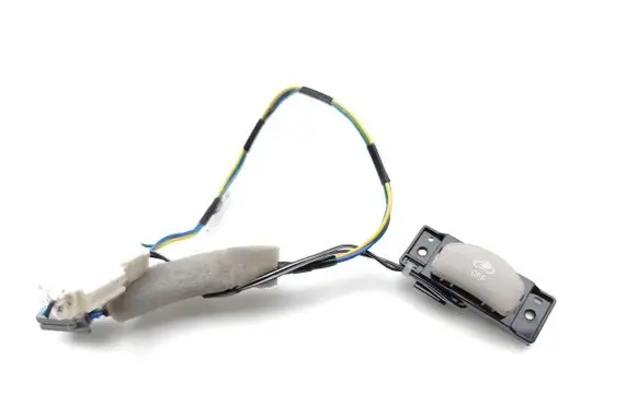 Nissan Leaf II (ZE1) Alarm switch 