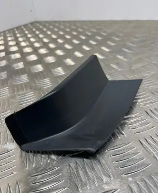 Rear/tail light trim molding