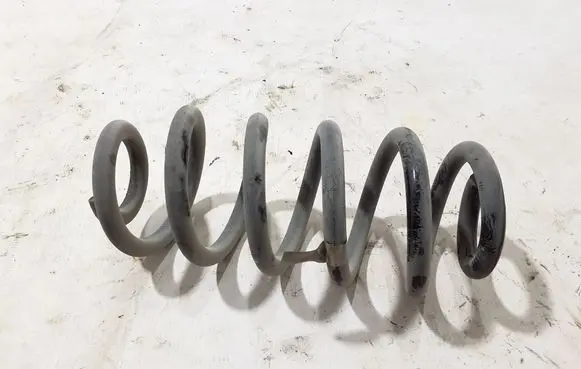 Polestar 2 Rear coil spring 32373737