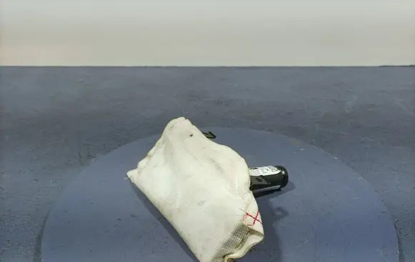 BMW X6 E71 Seat airbag 7161064