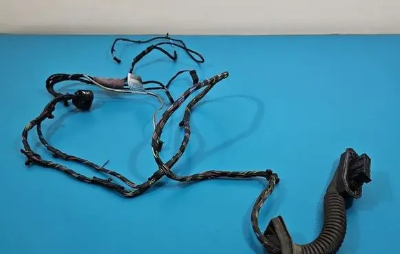 BMW X6 E71 Rear door wiring loom 920786003 IMPRK1541491