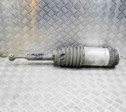 Tesla Model X Rear shock absorber/damper W309255002 102746100G