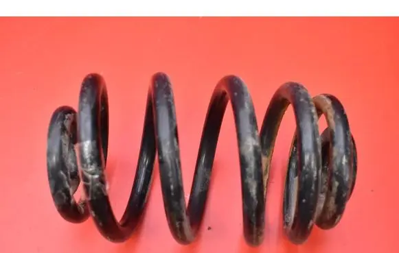 Rear coil spring