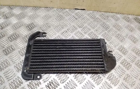 Renault Trafic III (X82) Fuel cooler (radiator) 175104049R 93868458