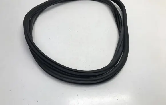 BMW iX3 G08 Rear door rubber seal (on body) 7393449