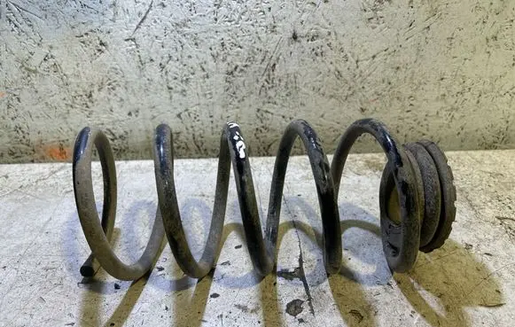 Rear coil spring