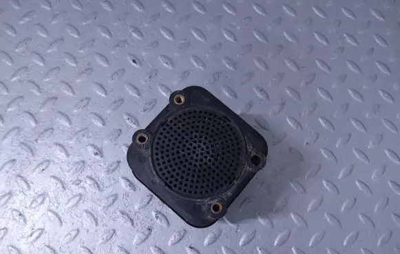 Alarm system siren