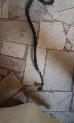 Audi A4 S4 B6 8E 8H Power steering hose/pipe/line 8E1422891E