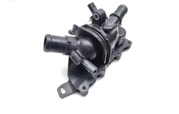 Thermostat/thermostat housing