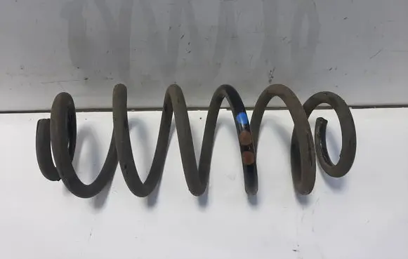 Rear coil spring